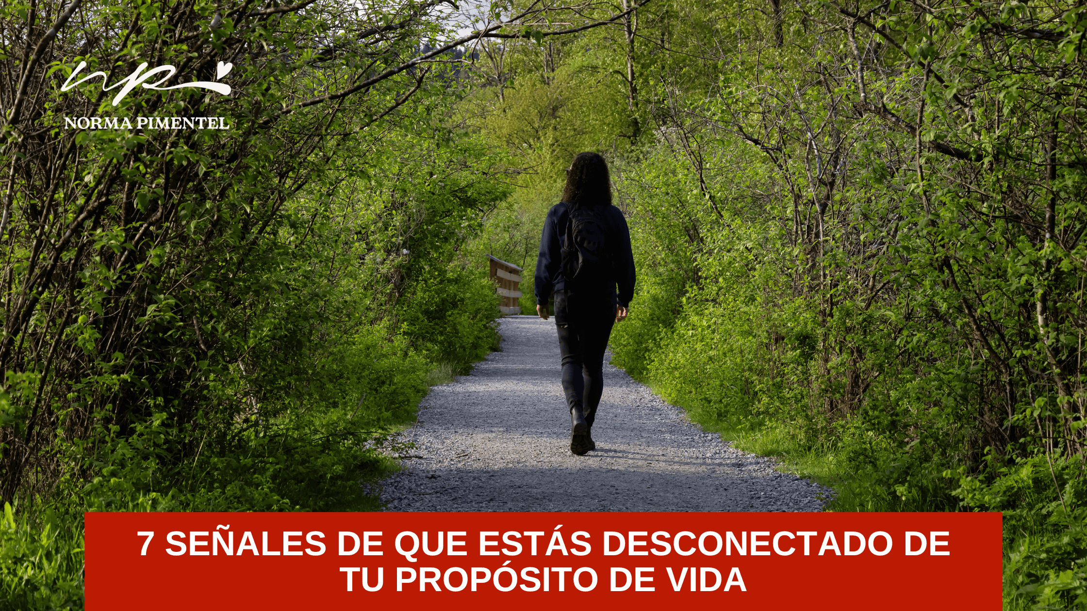 Persona caminando por un sendero al amanecer simbolizando el camino hacia el propósito de vida y el autoconocimiento.
